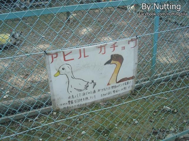 DSC04012.JPG